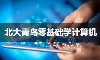 零基礎(chǔ)入門(mén)軟件開(kāi)發(fā) 可能之路與學(xué)習(xí)指南