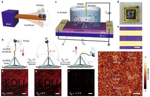 復旦大學魏大程研究員團隊提出 分子機電系統 ,實現精準生物檢測